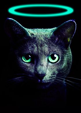 Black Cat Blue Neon