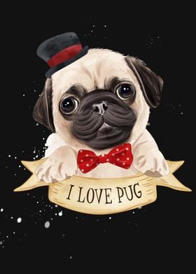 Pug dog