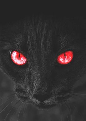 black cat with red eyes