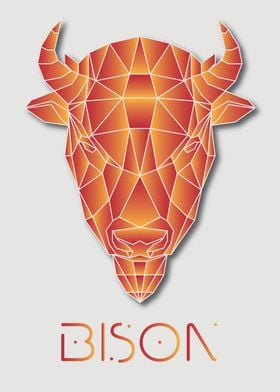 Bison White Geometric Art