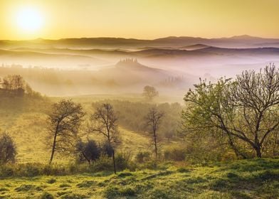 Autumn sunset forest