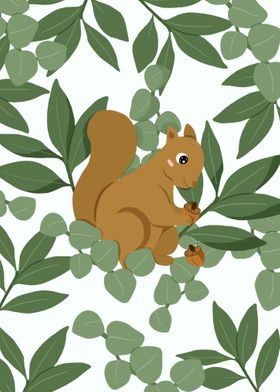 squirrel