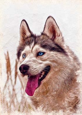 Huskey