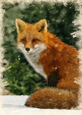 Fox