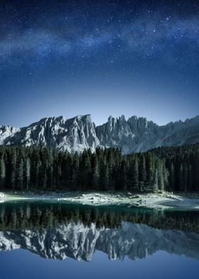 Snow forest mountain night