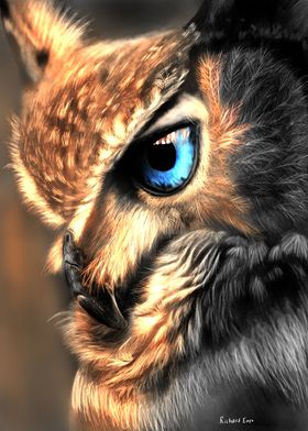 Owl sunlight effect