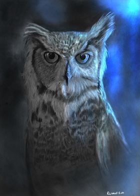Owl moonlight effect