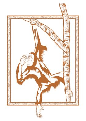 Orangutan in a tree