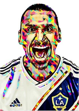 Ibrahimovi funny art