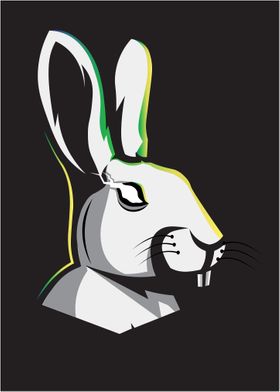 Rabbit Design