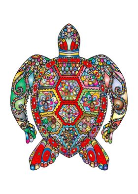 Abstract turtle