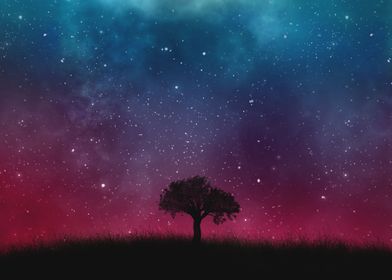 Tree under the night sky