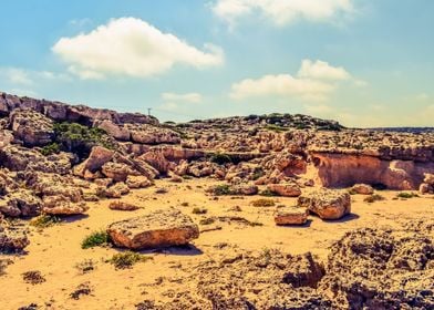 Rock Desert Landscape