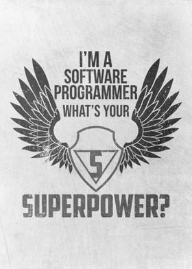 Software Programmer