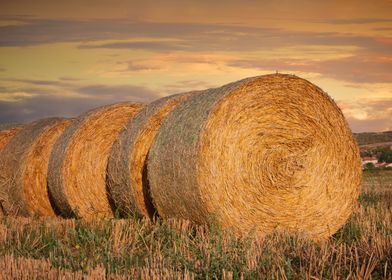 Round Straw Landscape