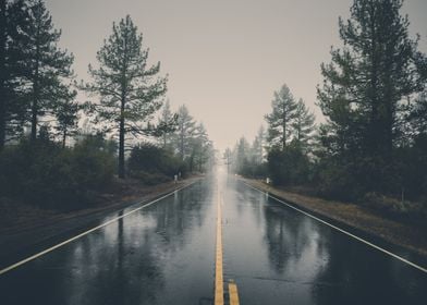 Rain Road Trip Landscape