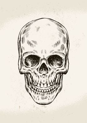 Hand Drawn Skull 