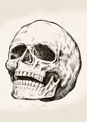 Hand Drawn Skull 