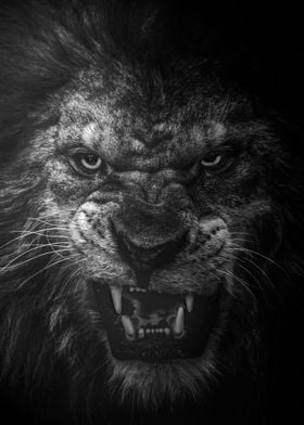 Angry king lion head print
