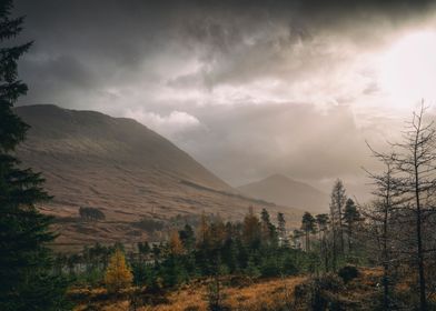 Mystical day in Glen Orchy