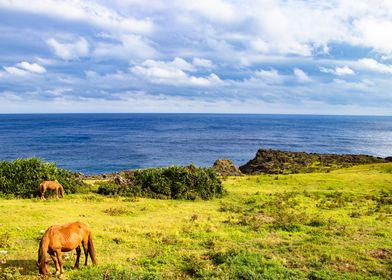 Sea Horses Meadow