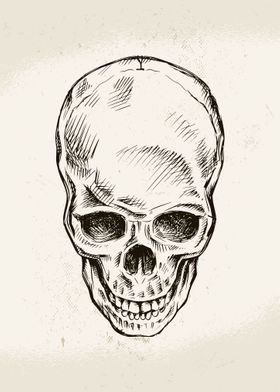 Hand Drawn Skull 