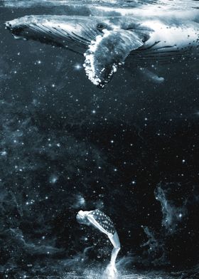 Whale Ocean Space Nature