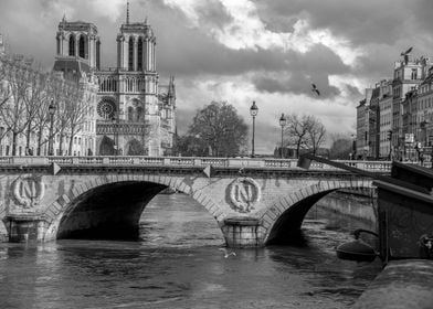 Seine Notre Dame de Paris