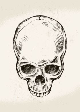 Hand Drawn Skull 