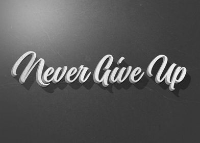 Never Give Up 3D