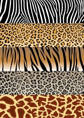 animal patterns