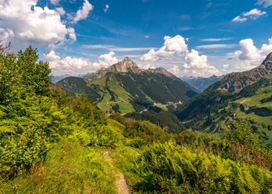 Hiking trail in austria