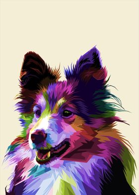 colorful sheltie dog