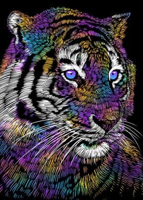 Rainbow Tiger