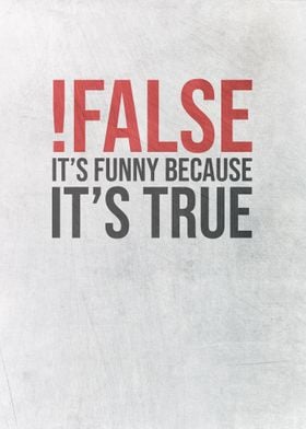 Programmer False Funny