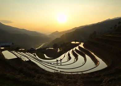 Sunset over fields