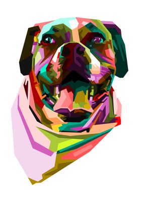 colorful boxer dog head