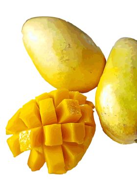 Mangoes 