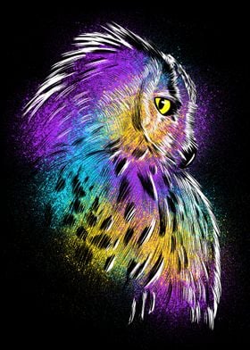 Sketch Owl Colors