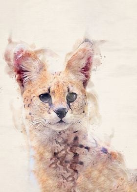 Cat WaterColor