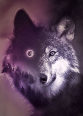 The Wolf