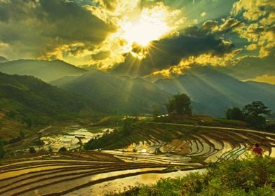 Sunset over rice terraces