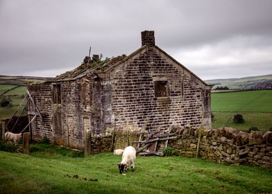 North Yorkshire