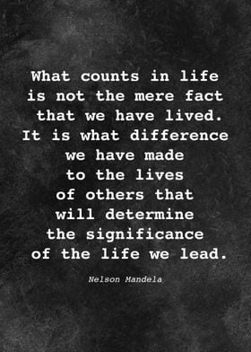 Nelson Mandela Quote D008