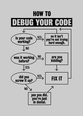 Programming Debug Code