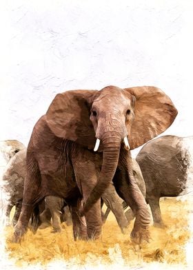 Elephants