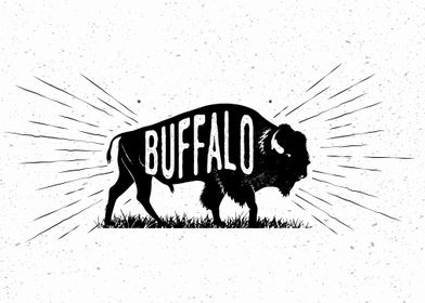 Buffalo