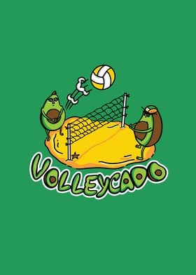 Volleycado