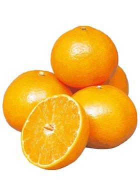 Oranges 