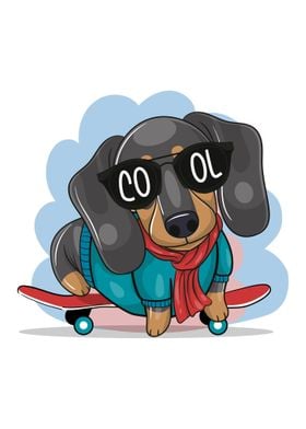 Dachshund